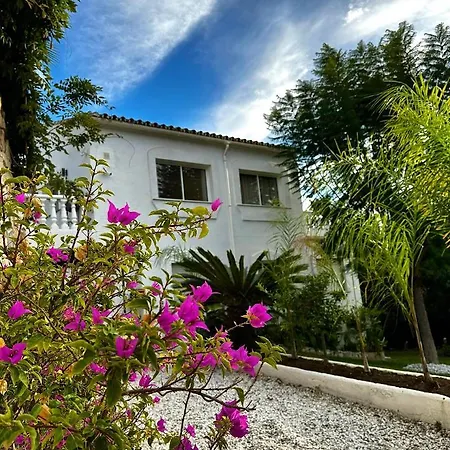 Chantilly * Марбелья